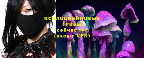 тгк Абинск