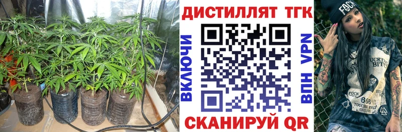 где найти наркотики  Алзамай  ОМГ ОМГ вход  Дистиллят ТГК гашишное масло 