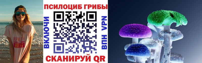 Псилоцибиновые грибы Magic Shrooms купить закладку Алзамай